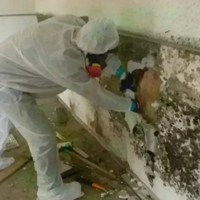 Mold Remediation and Removal in Lyman County, SD